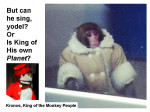 Ikea Monkey