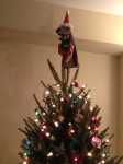 Wavy as Tree Topper