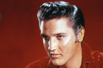 Elvis