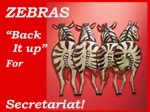 Zebras Dig Secretariat